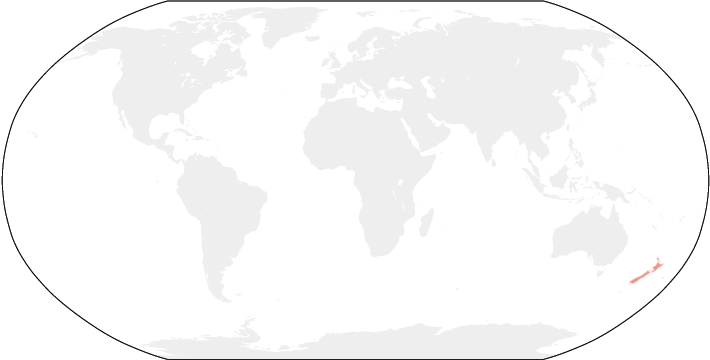 世界地図　ニュージーランド